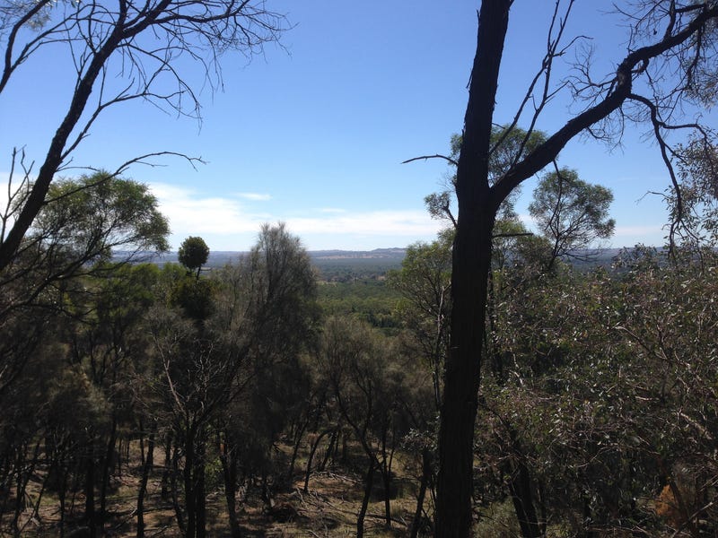 25 Acres With a View