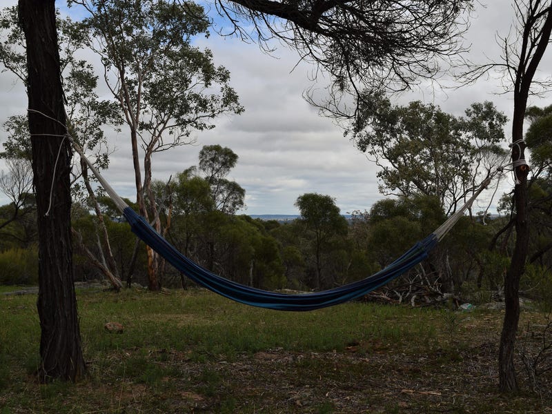 25 Acres With a View 2