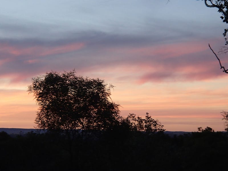 25 Acres With a View 3