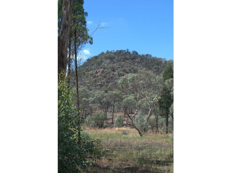25 Acres With a View 4