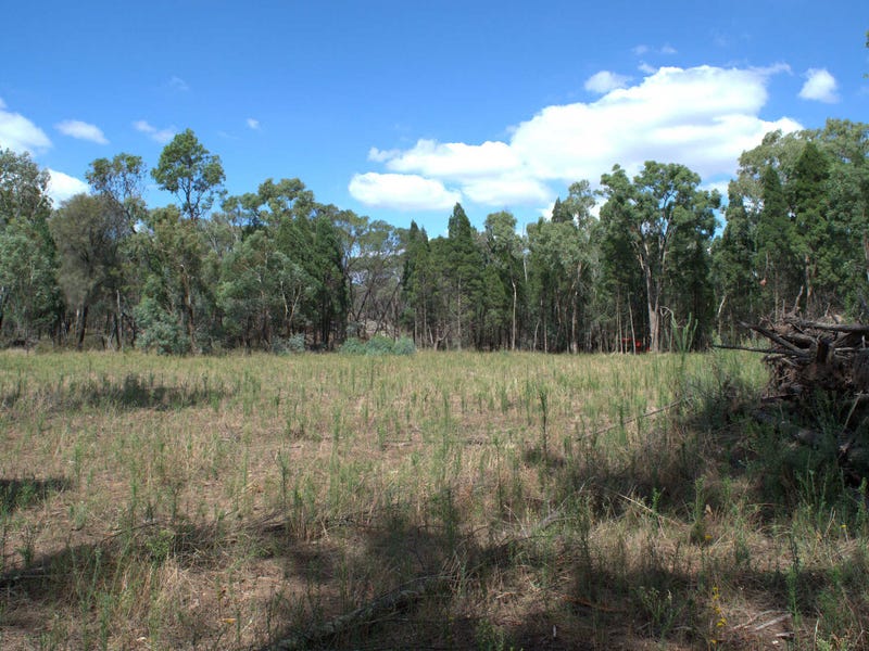 25 Acres With a View 5