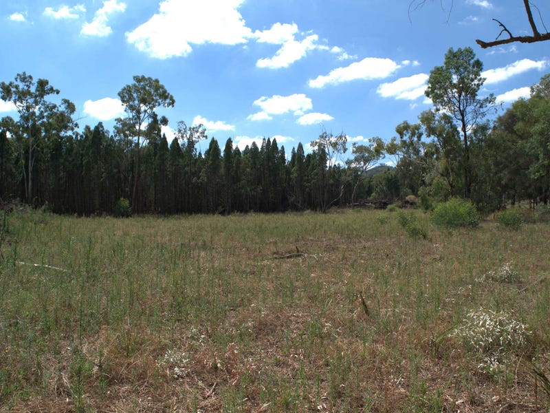 25 Acres With a View 8
