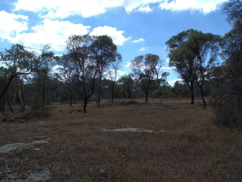 25 Acres With a View 9