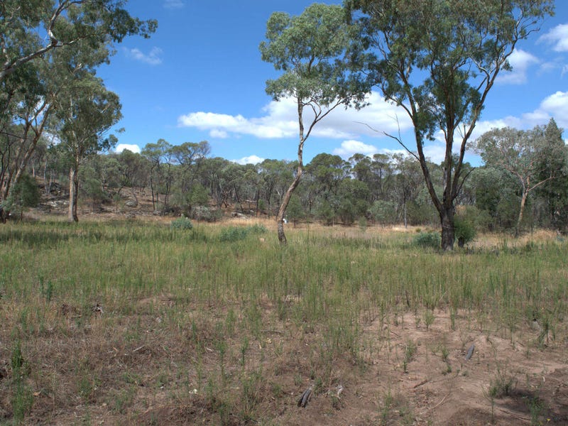 25 Acres With a View 10