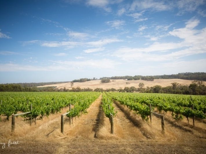 Exceptional Vineyard and Olive Grove on 42.33 Ha located in the Great Southern