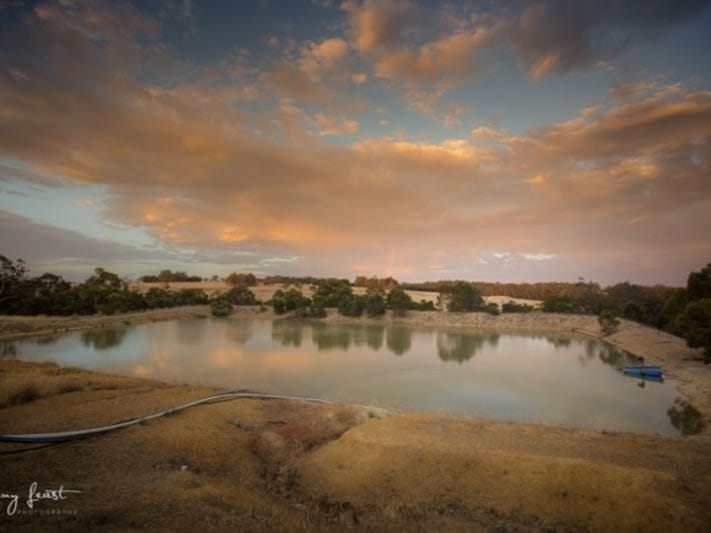 Exceptional Vineyard and Olive Grove 2