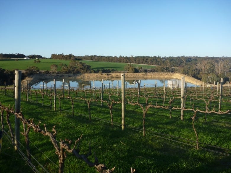 Exceptional Vineyard and Olive Grove 7