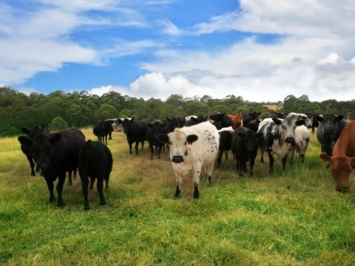 Small Farm 2