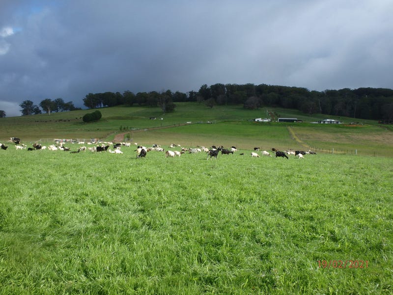**SOLD**  WATER, Farming, Cheese Factory, OnFarm Income, Lifestyle:135 Pristine Acres, New House
