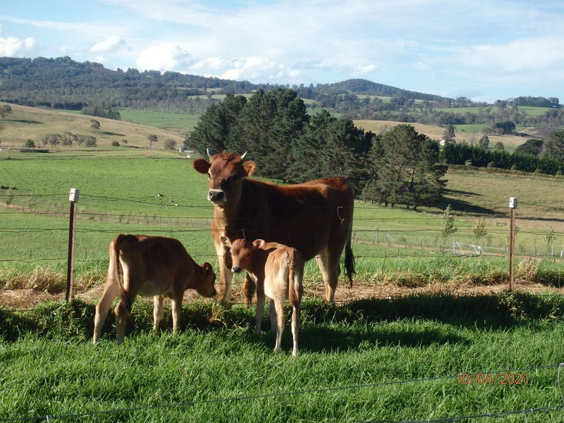**SOLD**  WATER, Farming, Cheese 2