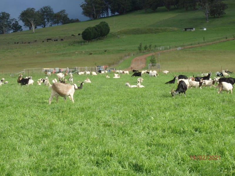 **SOLD**  WATER, Farming, Cheese 6