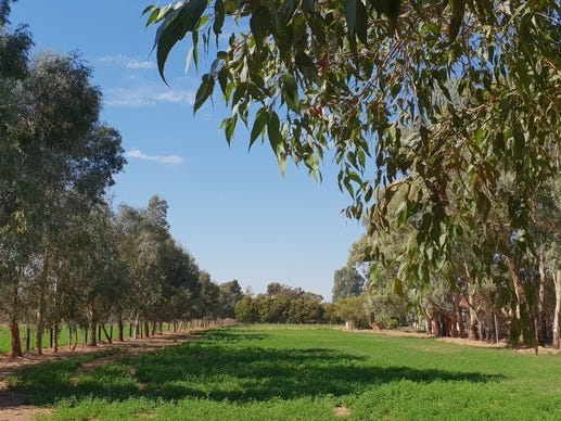 Ideal 20 Acre Hobby Farm 2