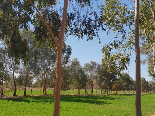 Ideal 20 Acre Hobby Farm 3