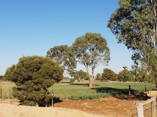 Ideal 20 Acre Hobby Farm 6