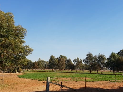 Ideal 20 Acre Hobby Farm 7