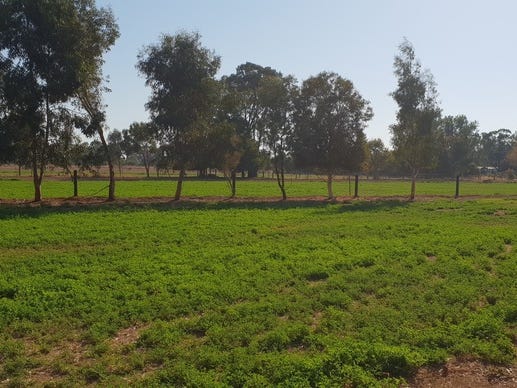 Ideal 20 Acre Hobby Farm 11