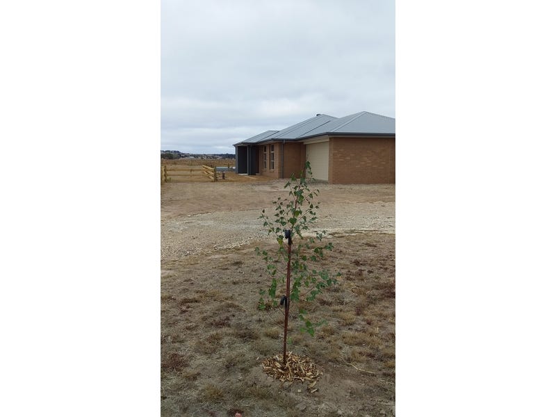 modern 2 year old home 9