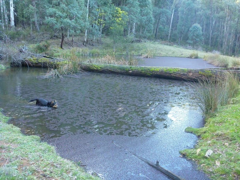 Hidden valley on the river 7