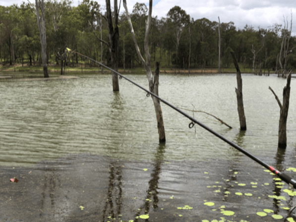 104 acres – Socially distance 12