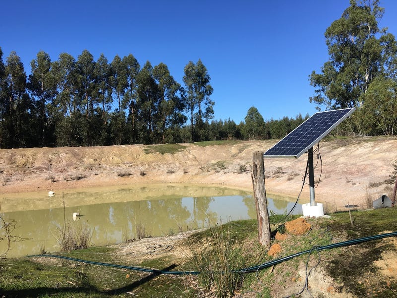 Blue Gum Forestry Farm near 3