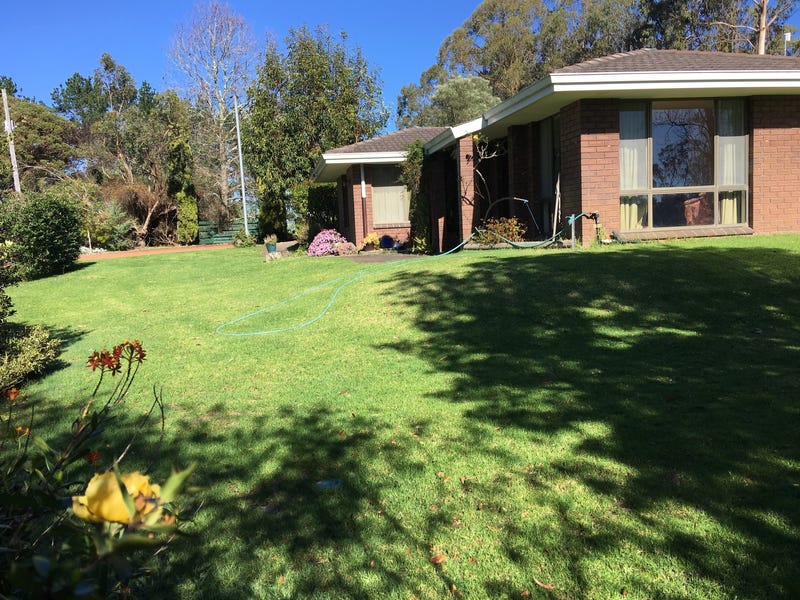 Blue Gum Forestry Farm near 6
