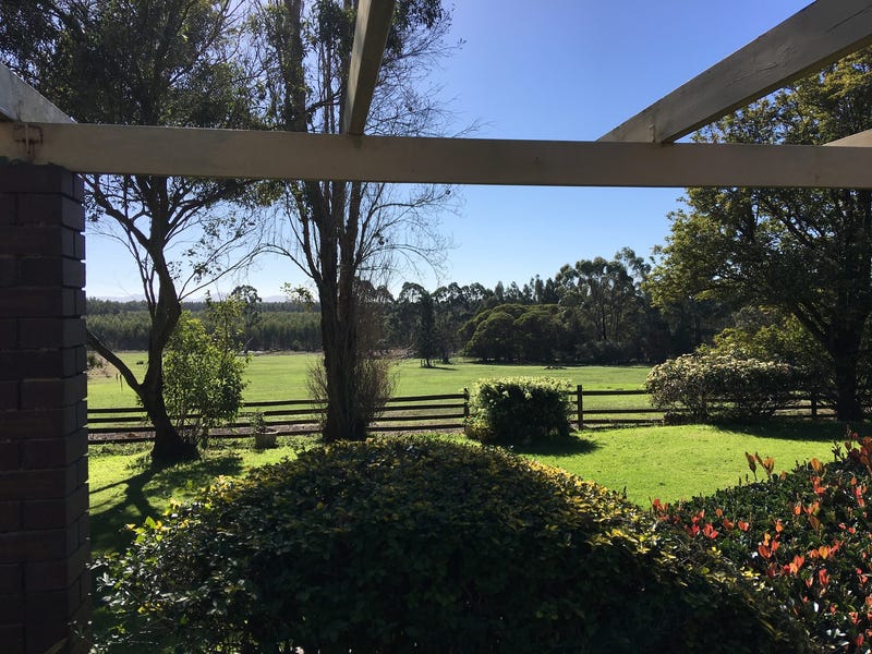 Blue Gum Forestry Farm near 7