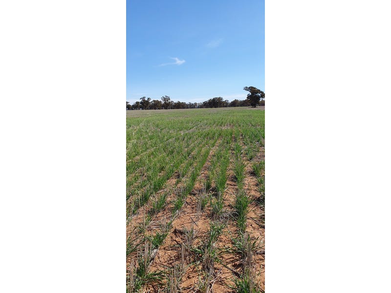 495 acre mixed farming block