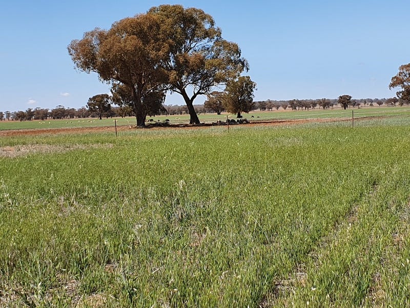 495 acre mixed farming block 2
