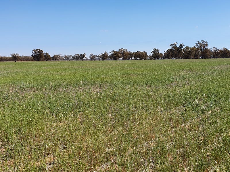 495 acre mixed farming block 7