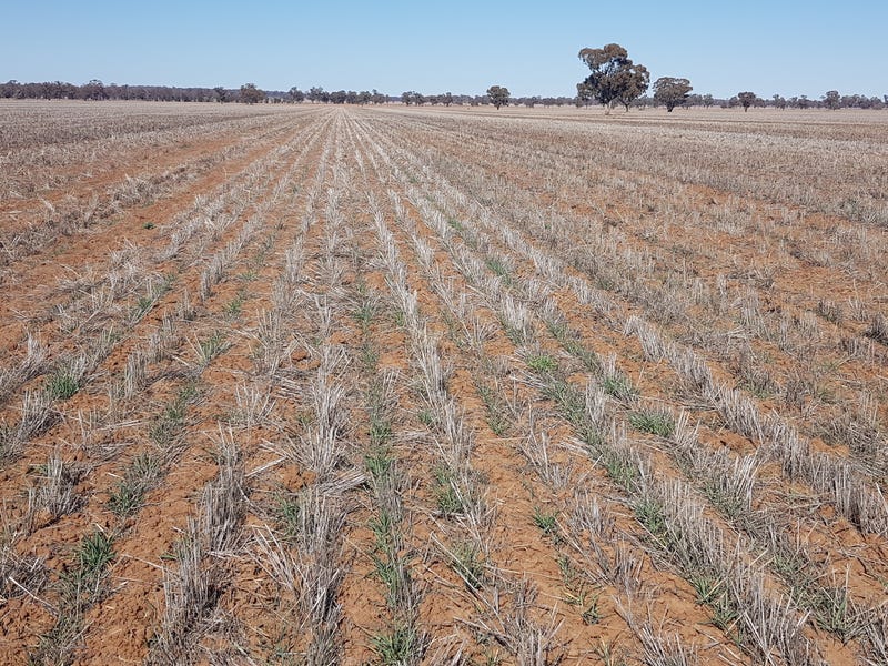 495 acre mixed farming block 8