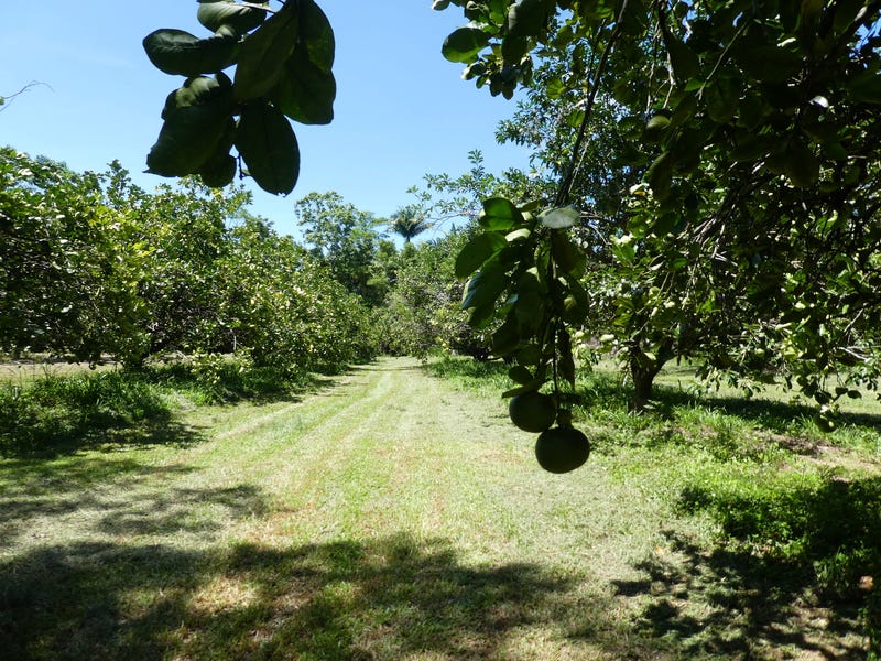 SOLD: Great healthy living on 20