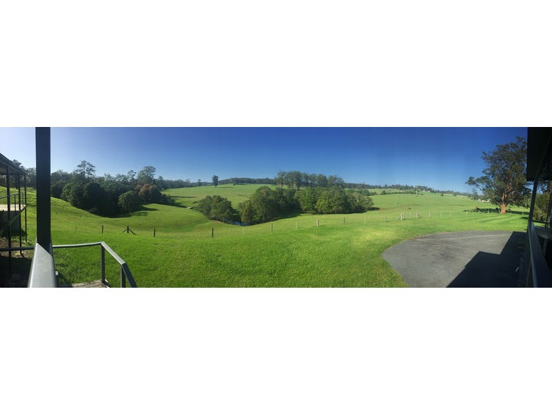 Sweeping Grand Views of Mt 6