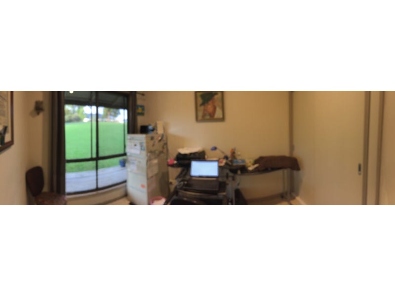 Sweeping Grand Views of Mt 17