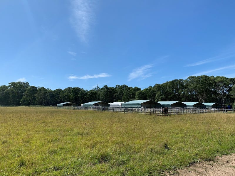 Horse paddocks in the vineyards