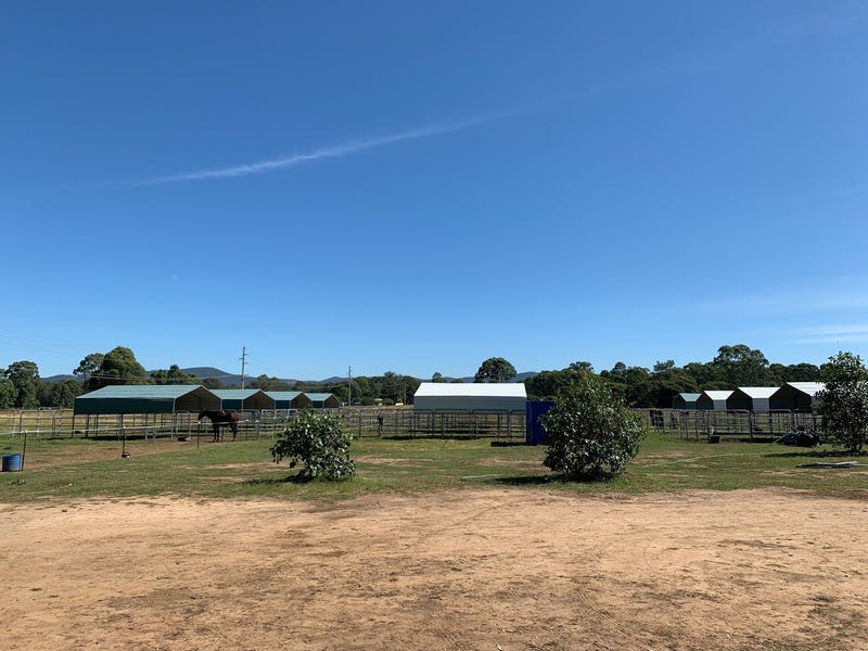 Horse paddocks in the vineyards 2