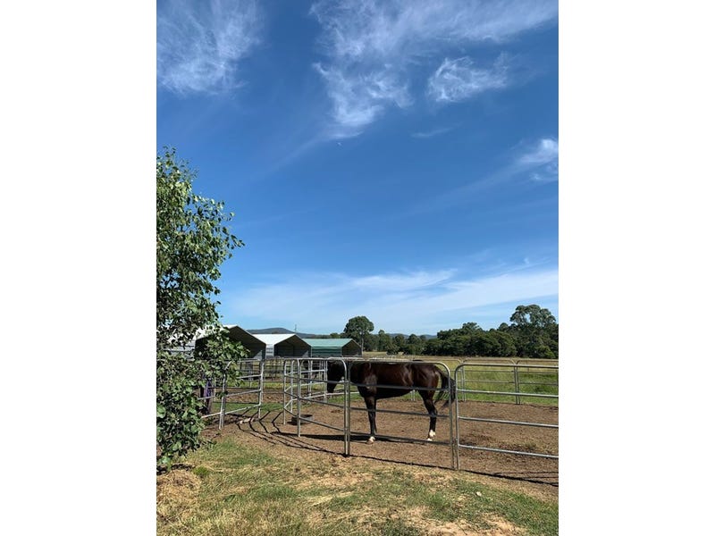 Horse paddocks in the vineyards 3