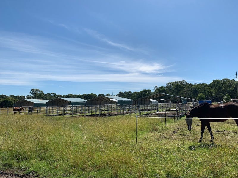 Horse paddocks in the vineyards 5
