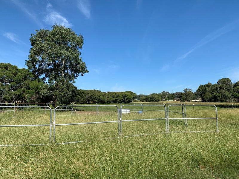 Horse paddocks in the vineyards 6