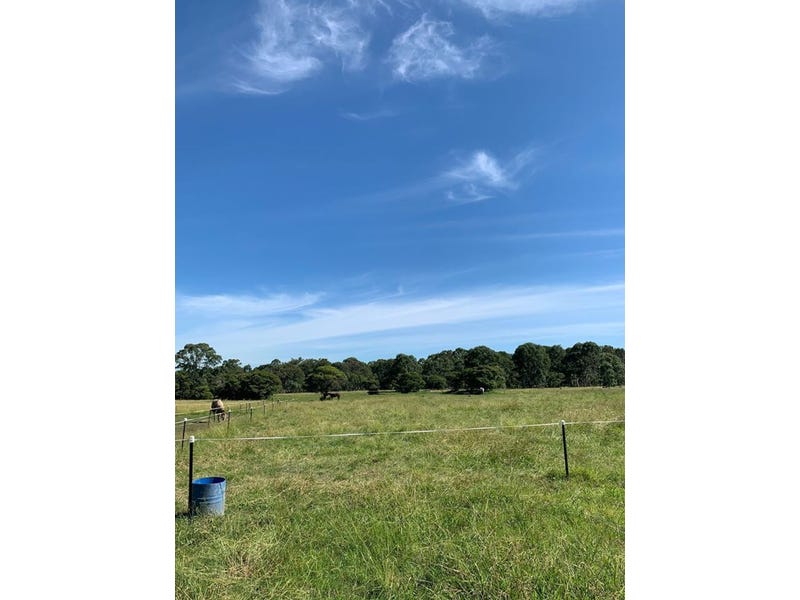 Horse paddocks in the vineyards 14