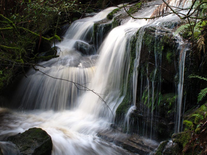 Fern Tree Gully Falls 2
