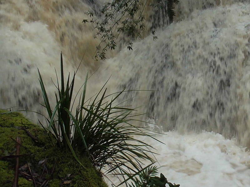 Fern Tree Gully Falls 8