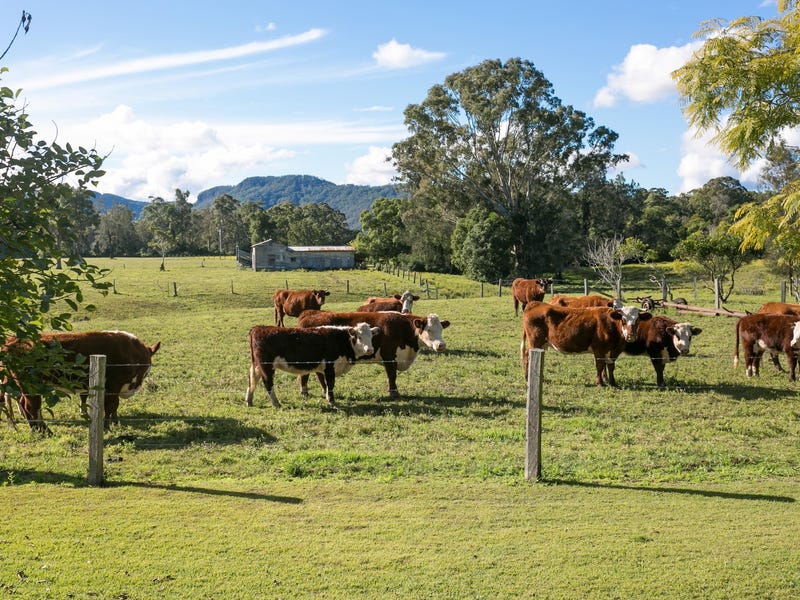 Picturesque Hobby Farm 12