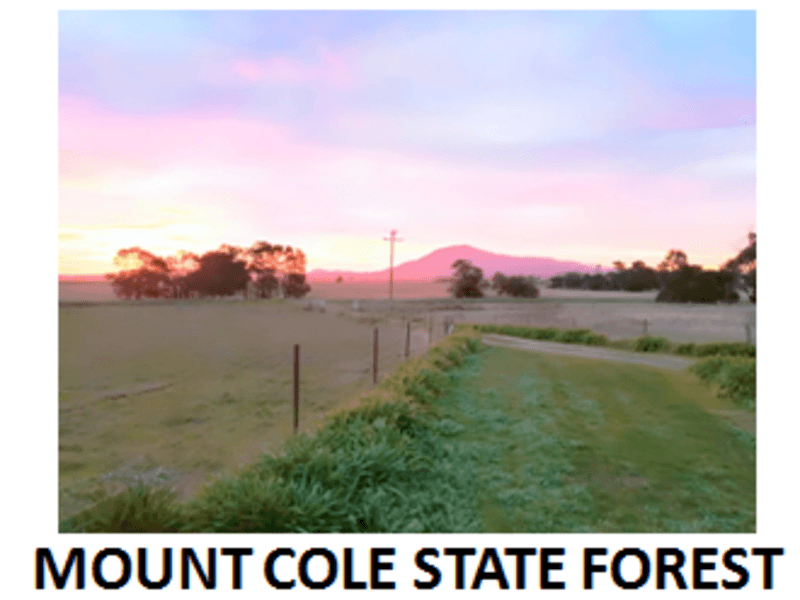 Country Retreat 35