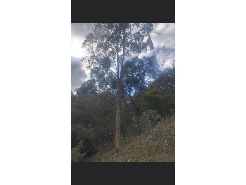 20 Acres Land with Amazing 4