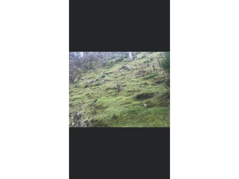 20 Acres Land with Amazing 7