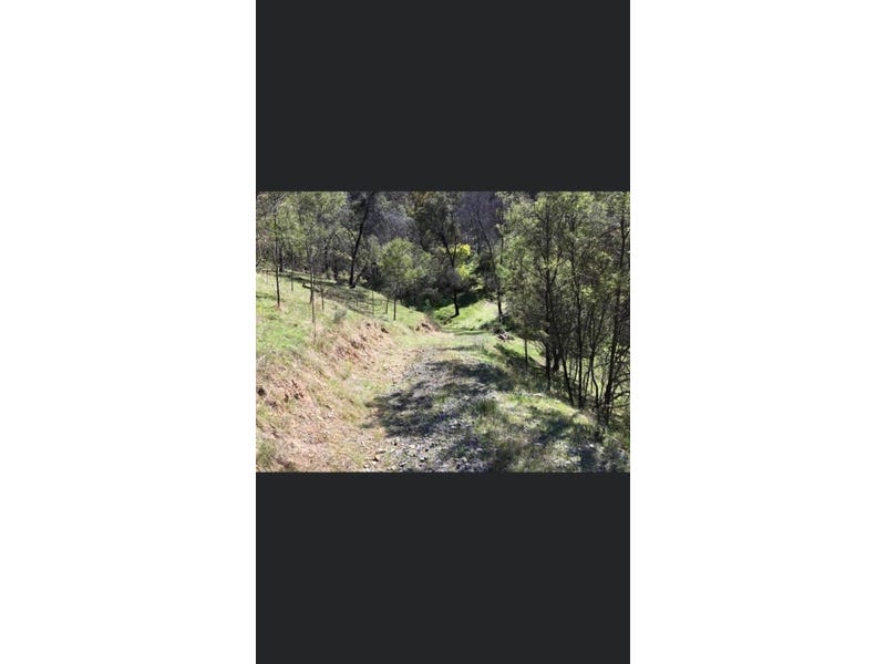 20 Acres Land with Amazing 8