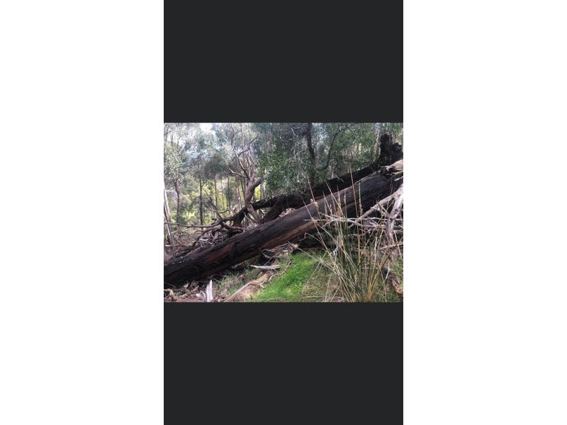 20 Acres Land with Amazing 9