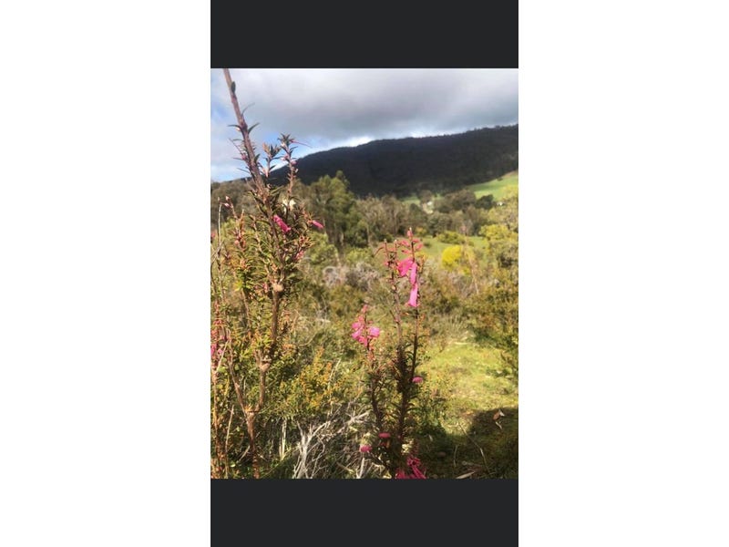 20 Acres Land with Amazing 10