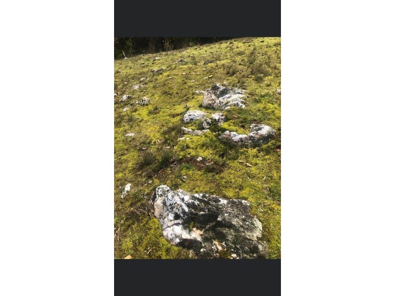 20 Acres Land with Amazing 11