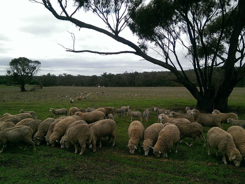 $4400 per acre 2